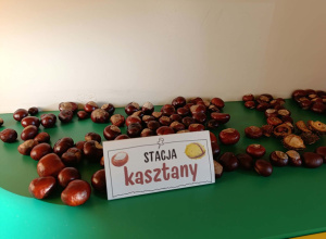 Projekt "Literki w akcji"