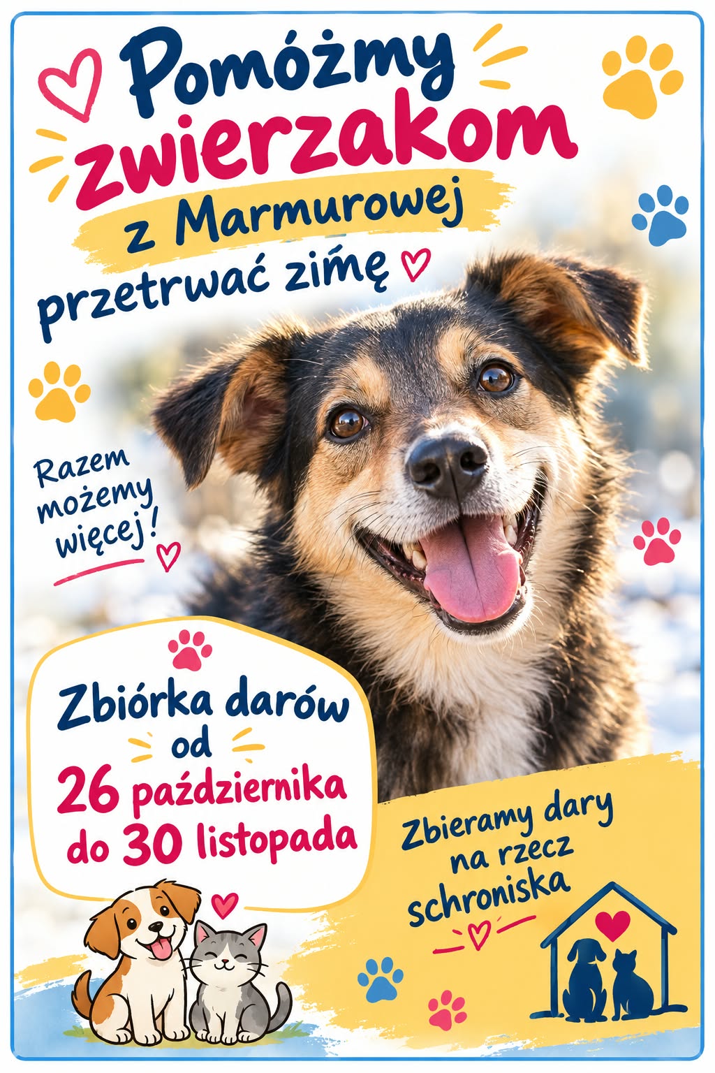 Zbiórka darów dla schroniska przy ul. Marmurowej w Łodzi