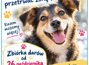 Pomóżmy zwierzakom z Marmurowej przetrwać zimę!